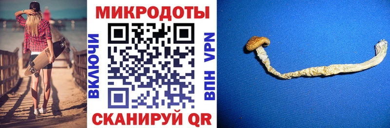 Купить  Анива  Псилоцибиновые грибы Psilocybine cubensis 